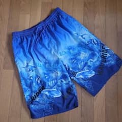 Da*-sama WAVERIDER Men's Swim Trunks Blue Dolphin Pattern