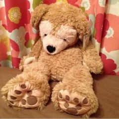 ダッフィー♡ タグ付きのサムネイル