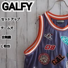 【GALFY】希少 ガルフィー チーム犬 メッシュ セットアップ L相当 紫 GALFY】希少 ガルフィー チーム犬 メッシュ セットアップ L相当 紫