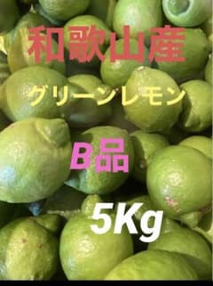 和歌山産 グリーンレモン B品 5Kgのサムネイル