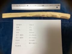 玄能柄2106 グミ　乾燥品　半加工のサムネイル