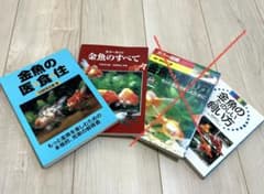 金魚 飼育 本　衣 食 住　金魚のすべて 3冊セットのサムネイル