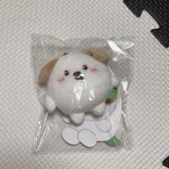 riize アントン モンリョンイ ミニドールキーリング - メルカリ