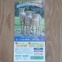 ☆ALOHA☆様専用　富士サファリパーク　1名様無料ご招待券のサムネイル