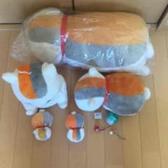 ニャンコ先生  たくさんのサムネイル