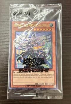 2025-EN003 Elttaes, the MASTER ofDUELSのサムネイル