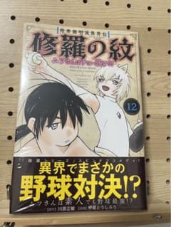 修羅の紋 12 川原正敏のサムネイル