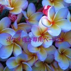 ☆ケイ様☆専用ページ☆ですのサムネイル