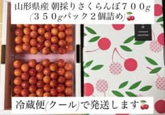 山形県産 朝採りさくらんぼ 700gのサムネイル