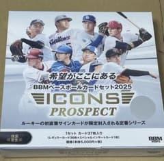 ゆに⭐️同梱150円割引⭐️様 リクエスト 4点 まとめ商品 240413_Liberty_B4Y_shiga_omote.jpg