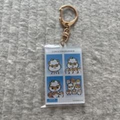 サンリオ　証明写真風　コロコロクリリンのサムネイル