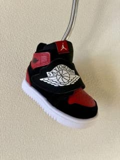 超レア・美品】 NIKE JORDAN 1 ナイキ ジョーダン パターカバーy