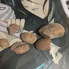 化石のサムネイル