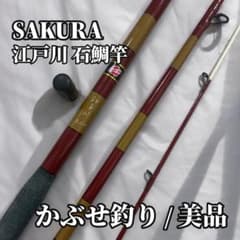 상태좋음 SAKURA 에도가와 이시 도로 씹는 낚시 전치기 이소 장대