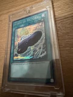 WINDS OF VICTORY SE [NKC1-EN001]コラボ付属カード