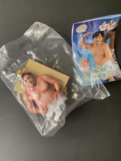 体格ブラザーズ ビッグボディーコレクション 額縁キーホルダー（平子さん）のサムネイル