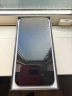 美品iPhone 13 Pro Max シエラブルー 256 GB SIMフリーのサムネイル