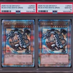 遊戯王 psa10 ワンオーナー 連番 青眼の白龍 浮世絵 25th クオシク 遊戯王 psa10 ワンオーナー 連番 青眼の白龍 浮世絵 25th クオシク