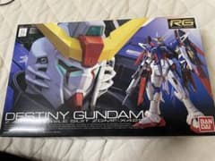 RG デスティニーガンダム 1/144のサムネイル