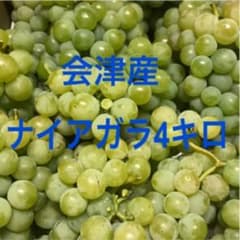 ナイアガラ4キロ箱 ぶどうのサムネイル