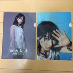 シュート様専用☆家入レオ クリアファイルのサムネイル