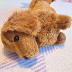 Animal Alley ダックスフンド ぬいぐるみ アニマルアレイ 犬 - メルカリ