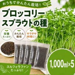 ブロッコリースプラウト専用種子　1000mlx5 高発芽率種子のサムネイル