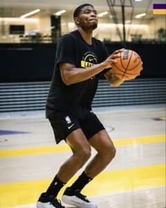 八村選手着用⭐︎換え紐2本付⭐︎新品未使用⭐︎AIR JORDAN 40 PF 