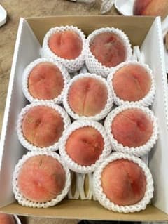 川中島白桃　青森県産　3kg箱　家庭用のサムネイル