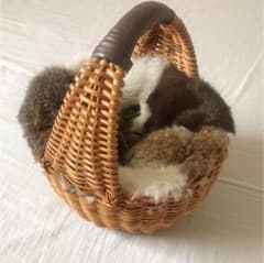 Cachellie ファー付かごバッグ カシェリエのサムネイル