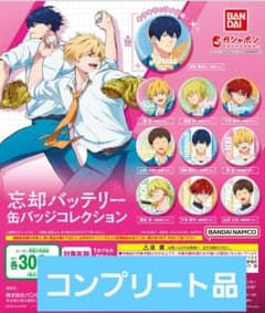 가샤폰 망각 배터리 캔 배지 컬렉션