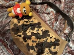 森ガールカバン★リラックマ付き★本革のサムネイル