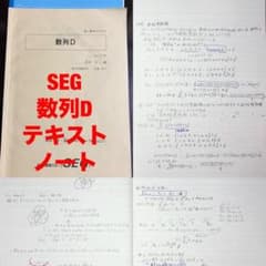 SEG数列D おまけ 全講義ノート 鉄緑会 - メルカリ