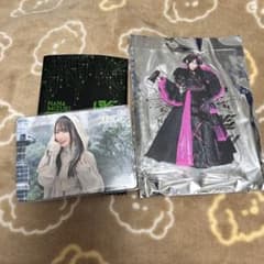 水樹奈々 LIVE JUNGLE2024 公式アクスタ、NANACA - メルカリ