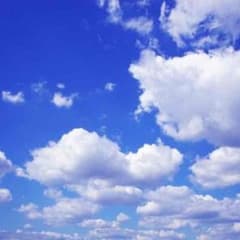 tandjさん専用のサムネイル