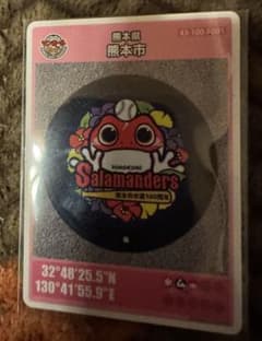 マンホールカード24弾熊本県のサムネイル