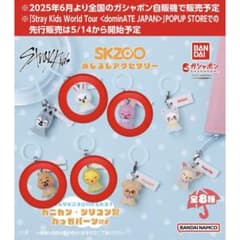 スキズ SKZOOめじるしアクセサリーのサムネイル