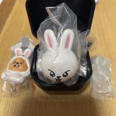 straykids SKZOO Leebit グッズ3個セットのサムネイル