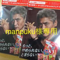 吉川晃司 かっぱえびせん クリアファイル2枚のサムネイル