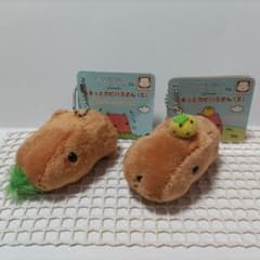 카피바라 씨 부랏과 카피바라 씨 S 사이즈 2 체 세트