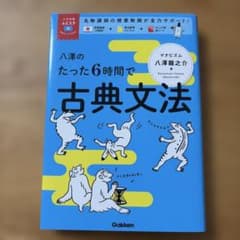 八澤のたった6時間で古典文法のサムネイル