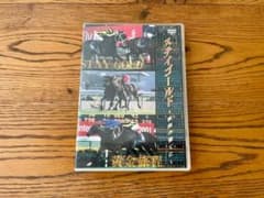 中古 DVD ステイゴールド 旅路の果てにのサムネイル