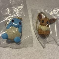 ポケモン ゼニガメとイーヴイの2点セットのサムネイル
