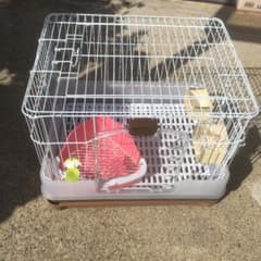 うさぎゲージのサムネイル