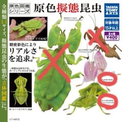 原色図鑑シリーズ 原色擬態昆虫 実寸大 タカラトミーのサムネイル