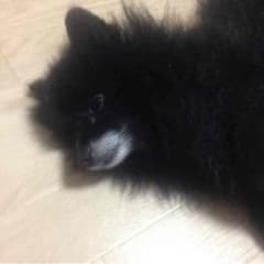 返金のサムネイル