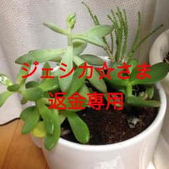 ジェシカ☆さま返金専用のサムネイル