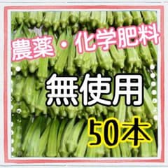 農薬・化学肥料　無使用　オクラ♡のサムネイル