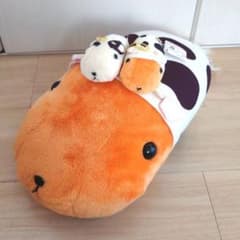 카피바라씨 슈퍼 DX 봉제인형 연년 3점 세트