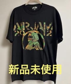 【新品未使用】AIR JAM 2012 Tシャツ Lサイズのサムネイル